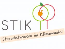 Logo Stik