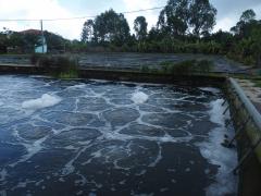 Wastewater treatment